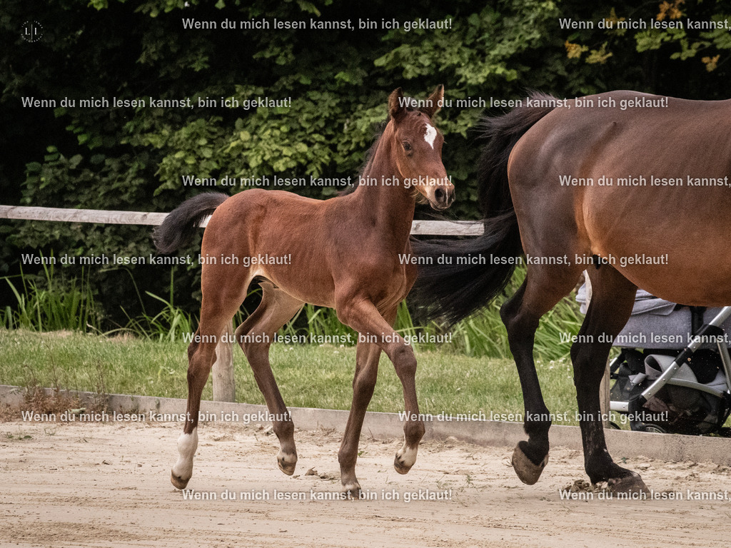 A10I9336 | photographylinaismer - Realisiert mit Pictrs.com