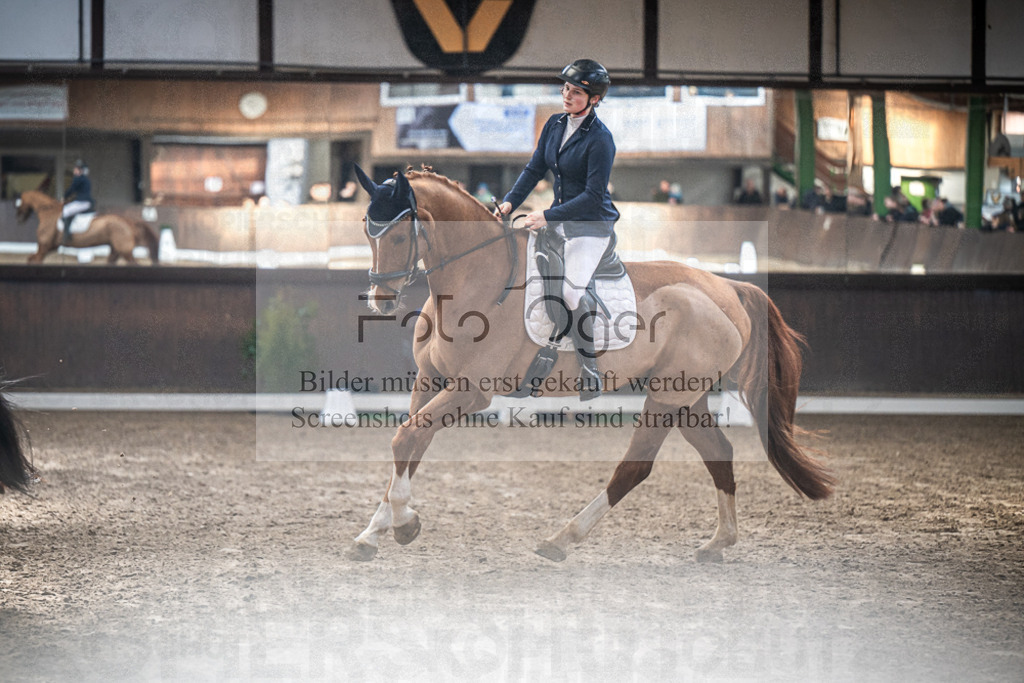 DOS_0433 | Entdecke hochwertige Reitturnierfotos von Foto Oger. Professionell, emotional und authentisch – jetzt Lieblingsmomente im Shop bestellen.Deutschlandweite Turnierfotografie. - Realisiert mit Pictrs.com