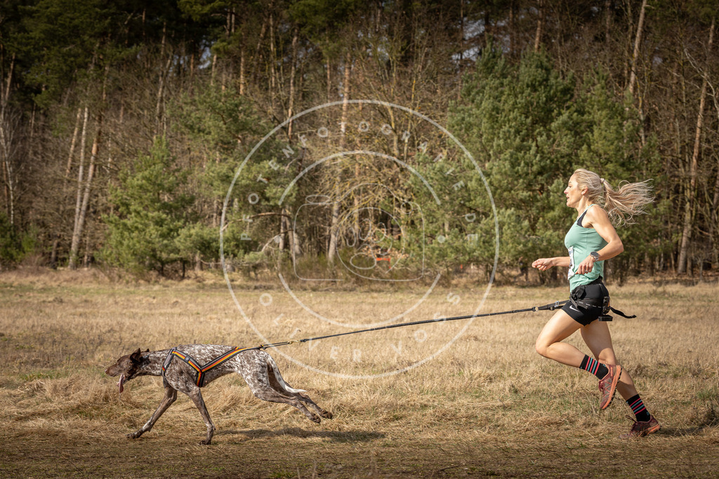 DV3A5617 | Hundefotografie, Tierfotograf, Pfotenfotografie, Fotoshooting Hund, Hunde Portrait, Hundesport, Hundeportraits, Heideshooting, Hunde, Sportfotograf, Hundefotograf, Turnierhundsport, THS,  - Realisiert mit Pictrs.com