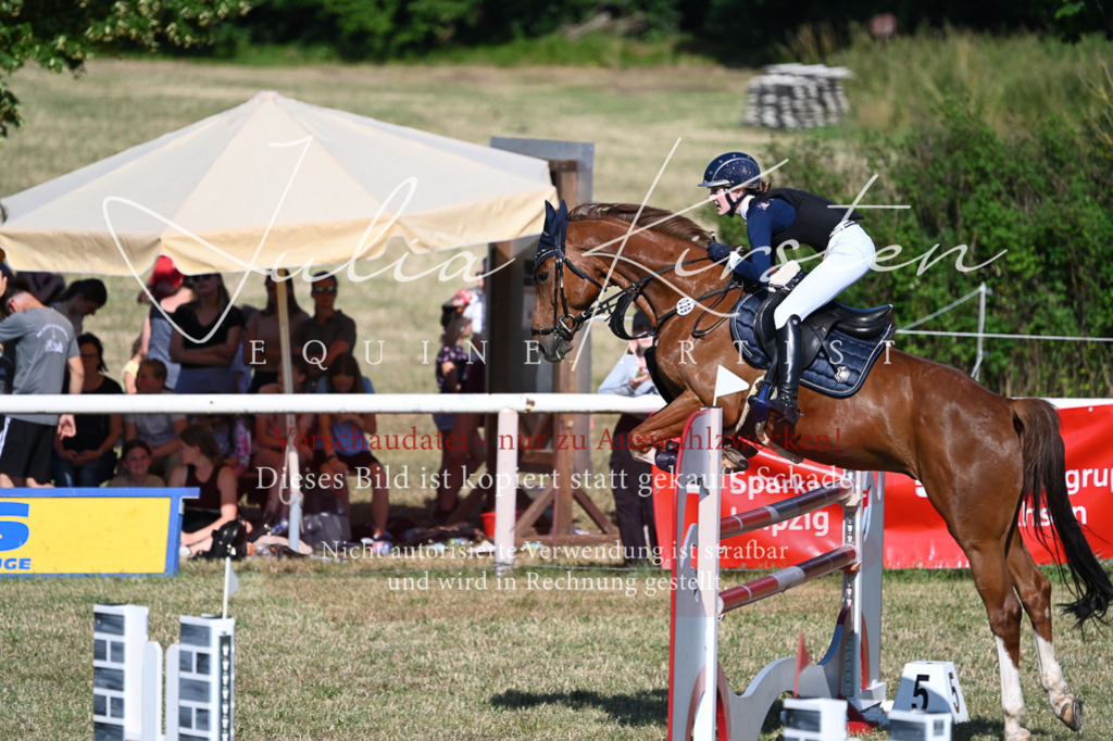 DSC_2329 | Pferde- und Turnierfotografie in Westsachsen. Pferdeportraits, Auftragszeichnungen und intuitive Kunst.