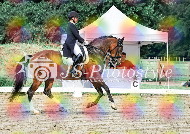20250727_Dressurprfg_Kl.Sx_Kür-28 | JS-Photostyle - Sport-/Portrait- & Eventfotografie