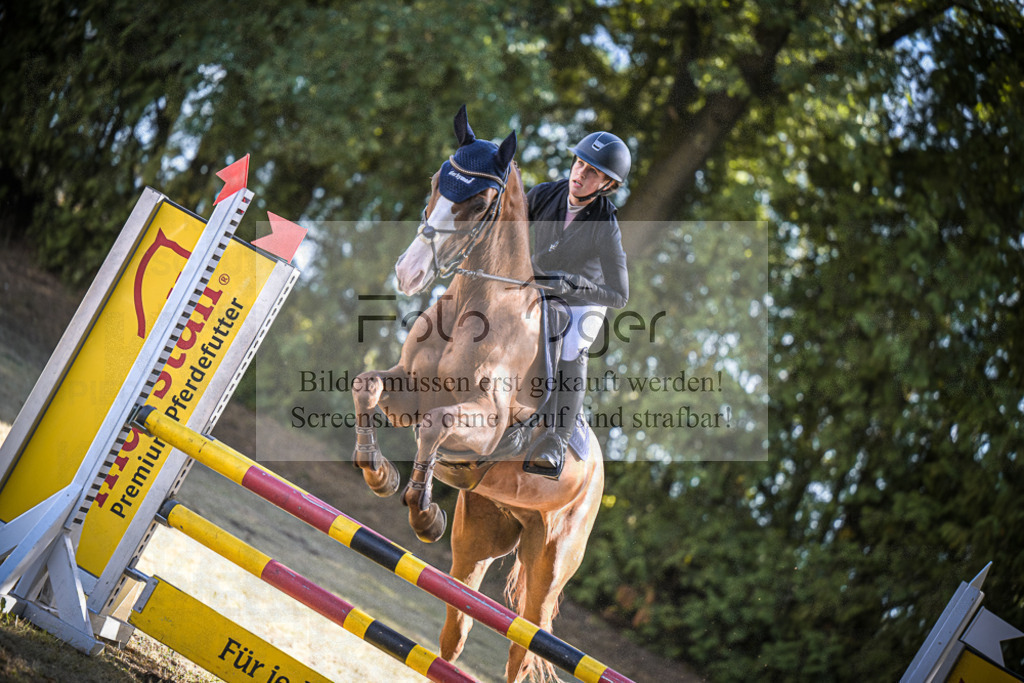 DOS_1211 | Entdecke hochwertige Reitturnierfotos von Foto Oger. Professionell, emotional und authentisch – jetzt Lieblingsmomente im Shop bestellen.Deutschlandweite Turnierfotografie. - Realisiert mit Pictrs.com
