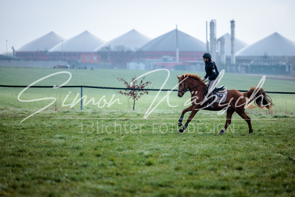 20260329-_3LI3363 | Tierfotografie Pferde, Hunde, Katzen, Haustiere.
Turnierfotografie Reitturniere, Reiten, Springreiten, Dressur in Hanau, dem Main-Kinzig-Kreis und dem Rhein-Main- Gebiet um Frankfurt