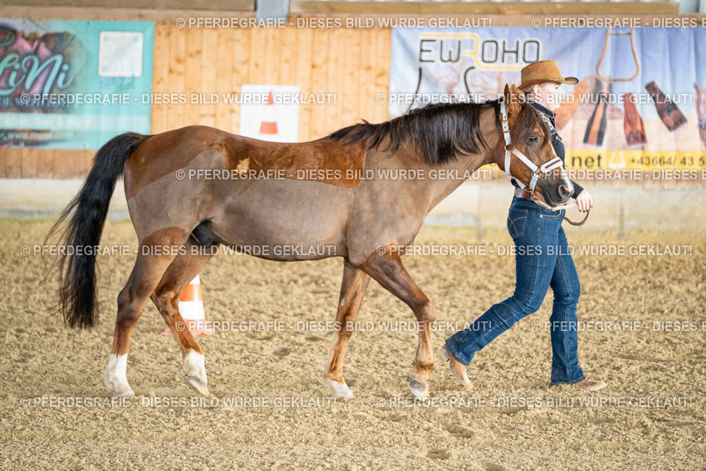 DSC07450 | Pferdegrafie