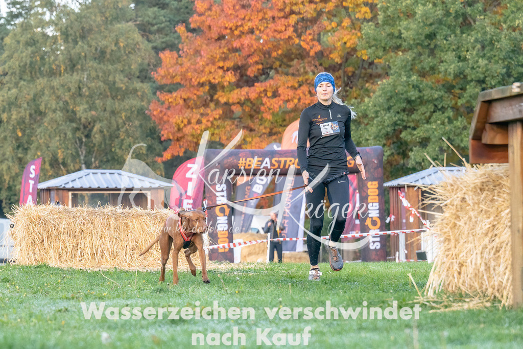 0853_ZZ91689-Bearbeitet | kk-dogfotos