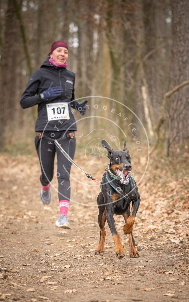Pfotenfotografie_DV3A7651 | Hundefotografie, Tierfotograf, Pfotenfotografie, Fotoshooting Hund, Hunde Portrait, Hundesport, Hundeportraits, Heideshooting, Hunde, Sportfotograf, Hundefotograf, Turnierhundsport, THS,  - Realisiert mit Pictrs.com