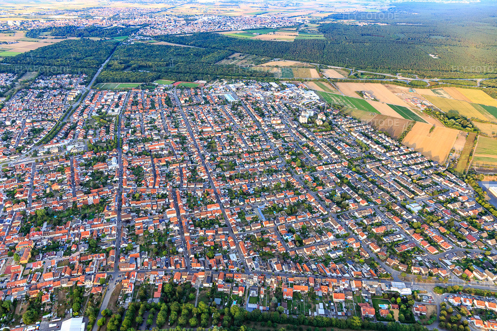 Luftbild: Ortsansicht aus Westen in Ketsch im Bundesland Baden-Württemberg in Deutschland. Foto: IMG_109344.jpg vom 30.07.2018 durch Werner Riehm/FLY-FOTO.de