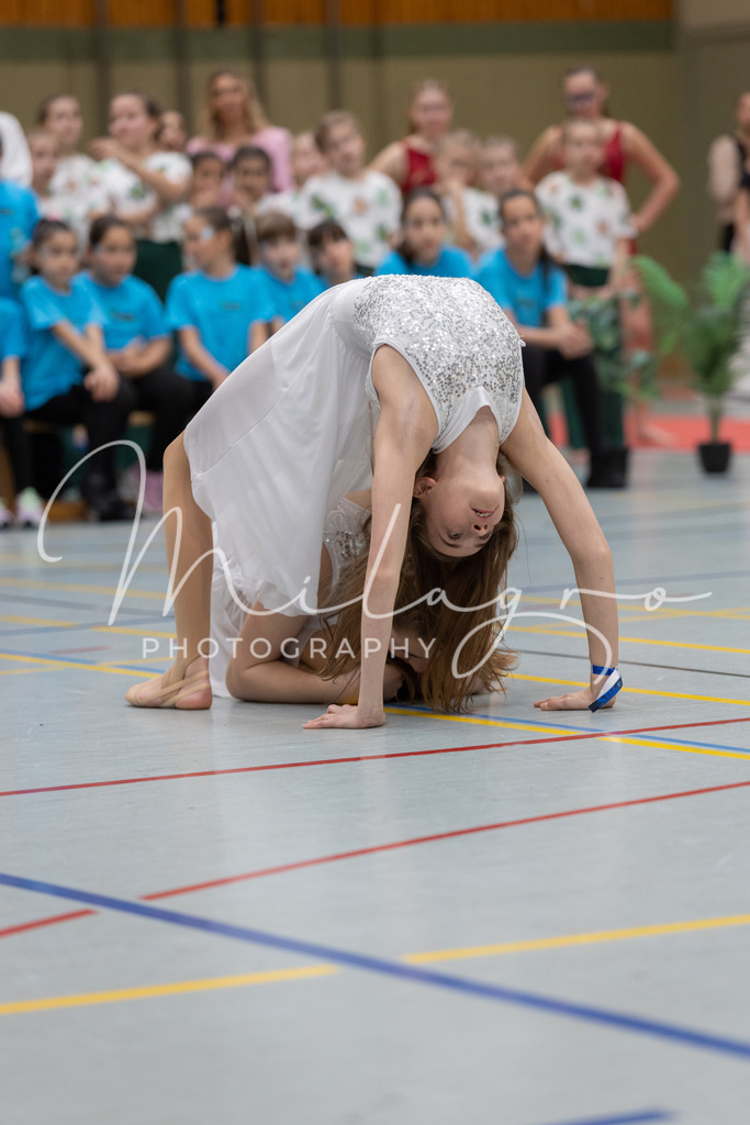 IMG_800242 | milagro-photography