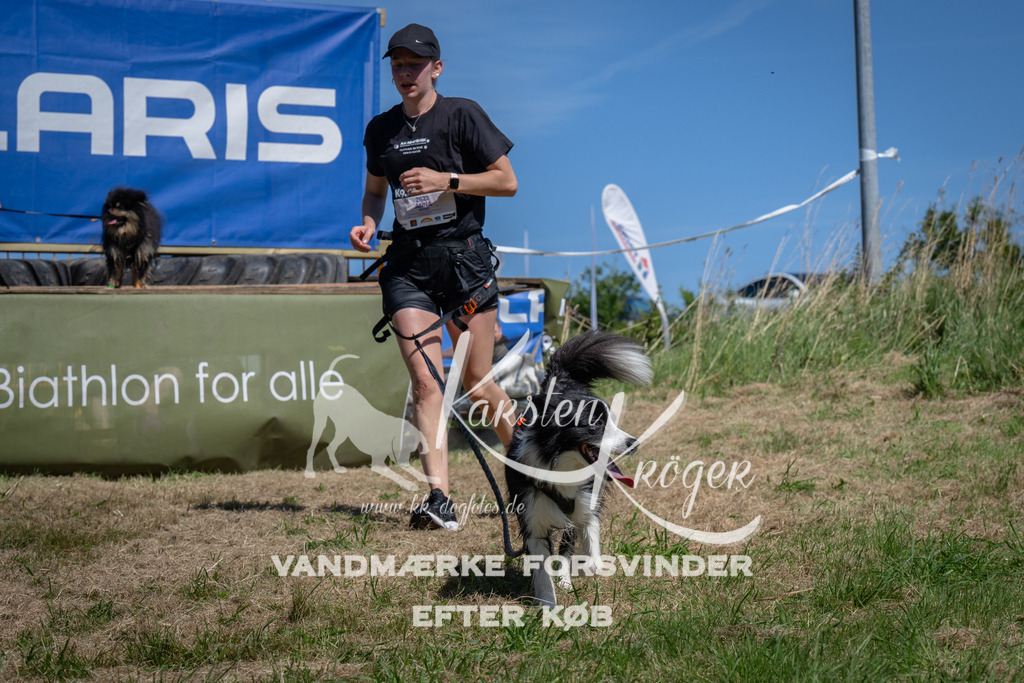 1311_ZZ98239 | kk-dogfotos