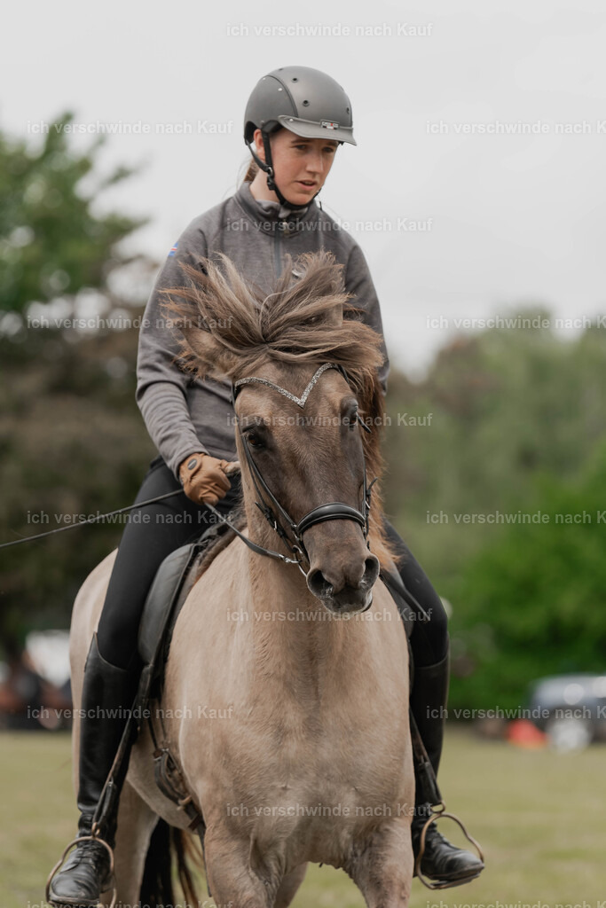 Showprogramm-188 | working equitationturnier fotograf videograf stoibphotography marixx film working equitation deutschland reitsport turnierfotografie eventfotografie equestrian events