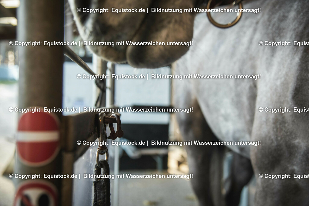 20200118_Laufband_0016 | Foto: Thomas Hartig