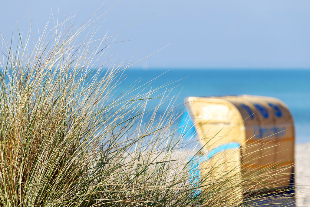 Wandbild: Strandhafer im Fokus | Dieses Wandbild zeigt Strandhafer in einer klaren, detailreichen Vordergrundperspektive. Die Halme stehen deutlich im Fokus und verleihen dem Motiv eine natürliche Tiefe, während der Hintergrund weich ausläuft. Hinter dem Strandhafer öffnet sich der Blick auf einen hellen Sandstrand und einen farbigen Strandkorb vor dem ruhigen Meer. Die Szene wirkt freundlich, sommerlich und typisch norddeutsch – ein Moment, der maritime Leichtigkeit und entspannte Urlaubsstimmung einfängt. Ein Wandbild, das natürliche Klarheit und die ruhige Schönheit der Ostseeküste in den Mittelpunkt stellt. - Realisiert mit Pictrs.com