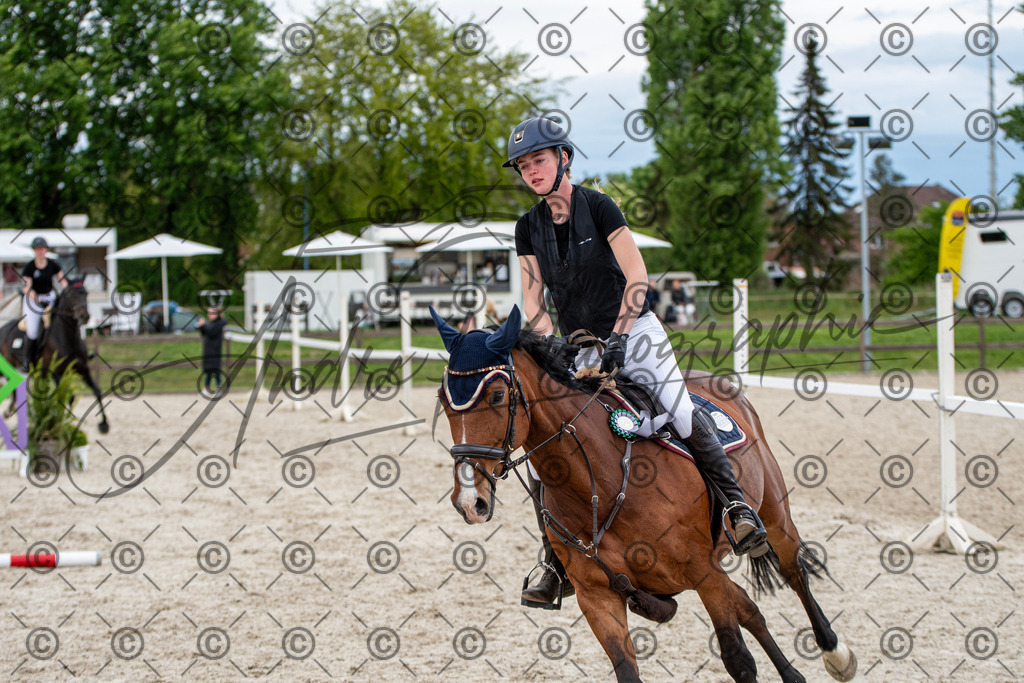 KPT_7443 | andre_photographic