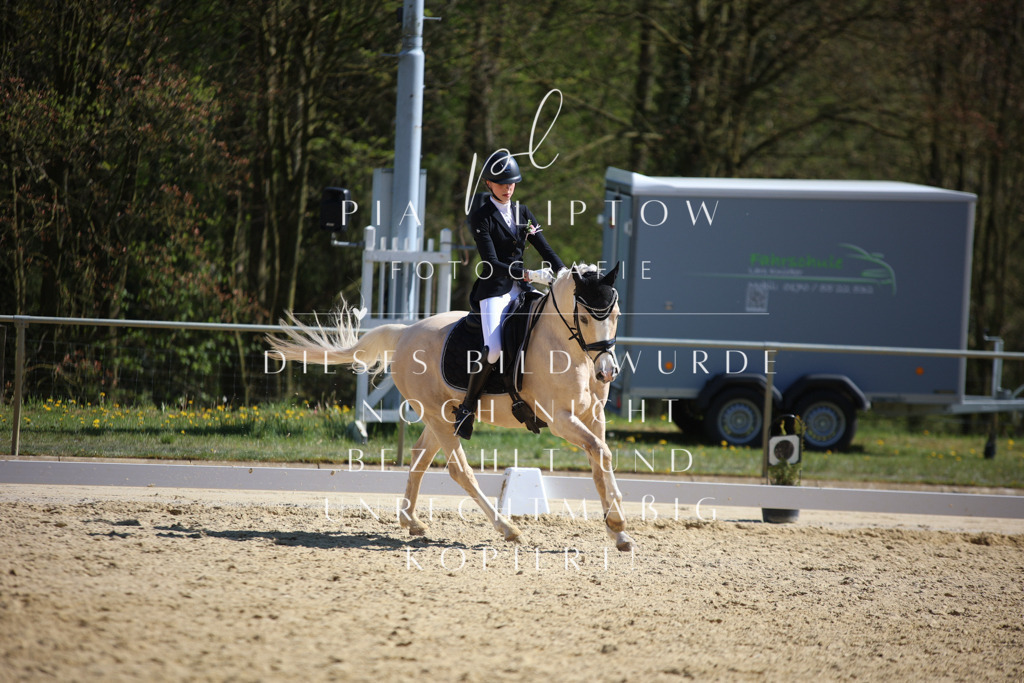 IMGT2079 | pl-fotografie