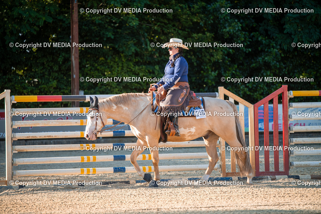 EWP_7149 | dv-media-shop - Realisiert mit Pictrs.com