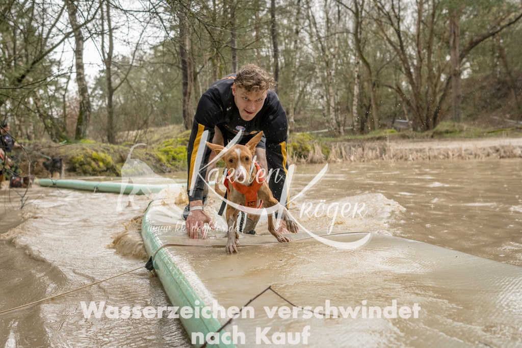 1339_ZZ90338-Bearbeitet | kk-dogfotos