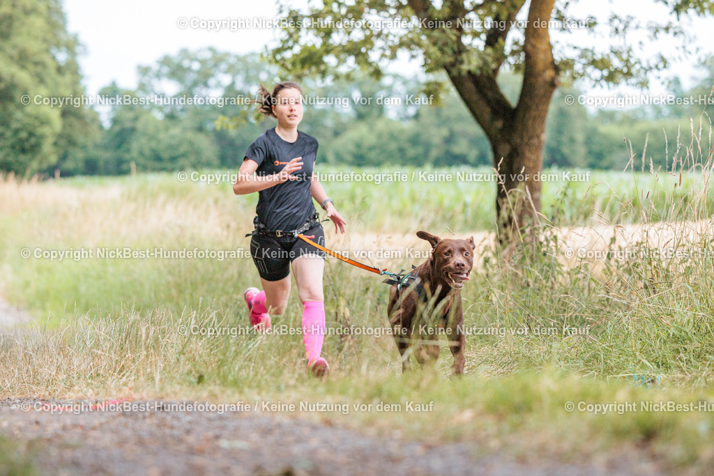 THS-Quakenbrück-2026-Nickbest-Hundefotografie-0517 | Dein Hund! Dein Moment! Deine Erinnerungen! Hundefotografie in Bremen Blumenthal. Ich fange die besonderen Momente deines Vierbeiners ein – ob Indoor mit Blitzanlage oder in der freien Natur. Sicher dir dein Moment und dein Termin für eure Erinnerungen.