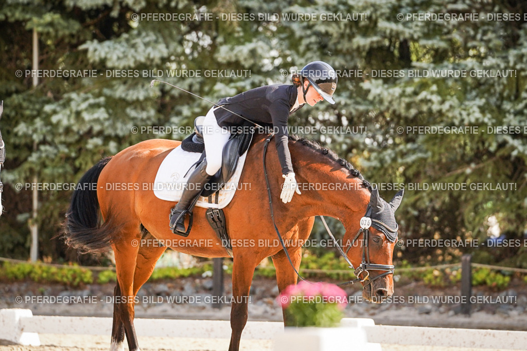 DSC00666 | Pferdegrafie