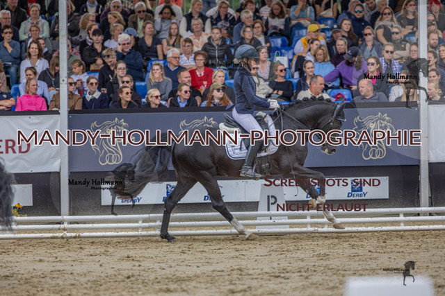 RPF 4j H (244 von 1519) | mandyhollmannphotographie