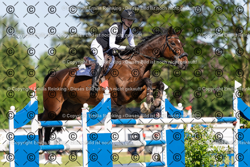 CL5A1365 | Emilia Reinking Fotografie - Realisiert mit Pictrs.com