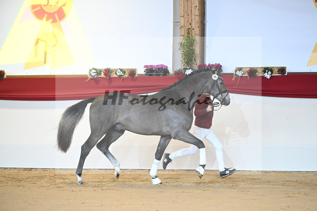 Kat-Nr. 24 Hickstead White_Zeil_1231182 | hf-fotografie - Realisiert mit Pictrs.com
