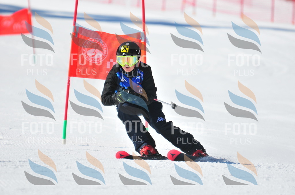 C4049 | holidayphoto