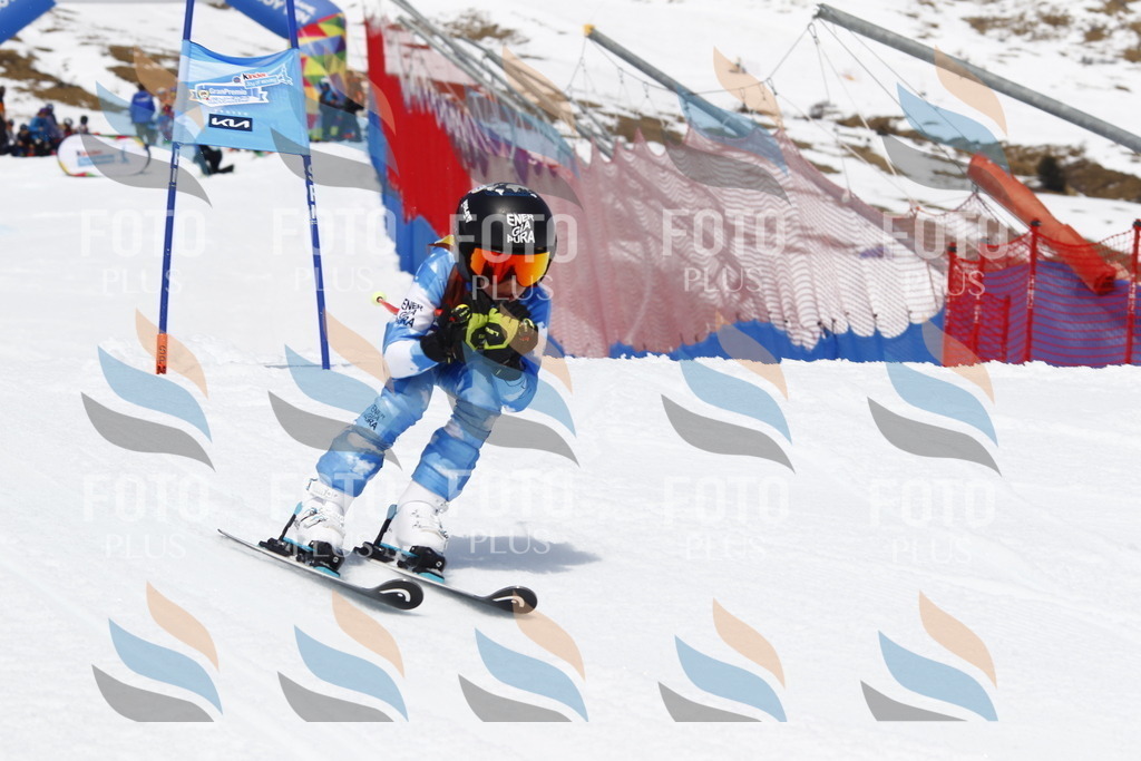 _U3G7896 | holidayphoto