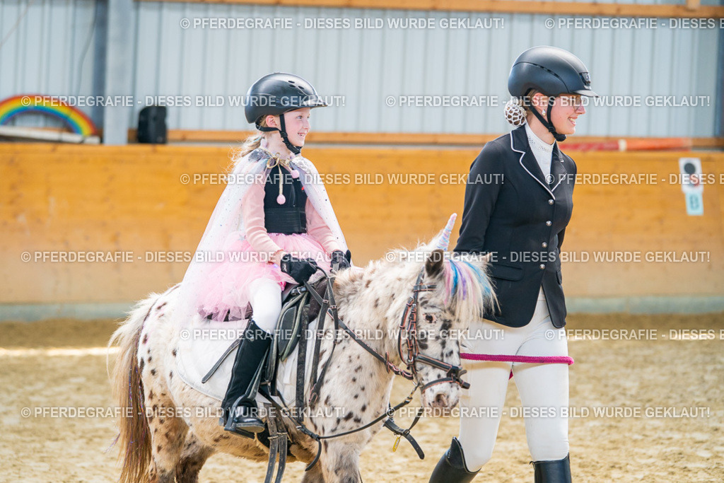 DSC00532 | Pferdegrafie