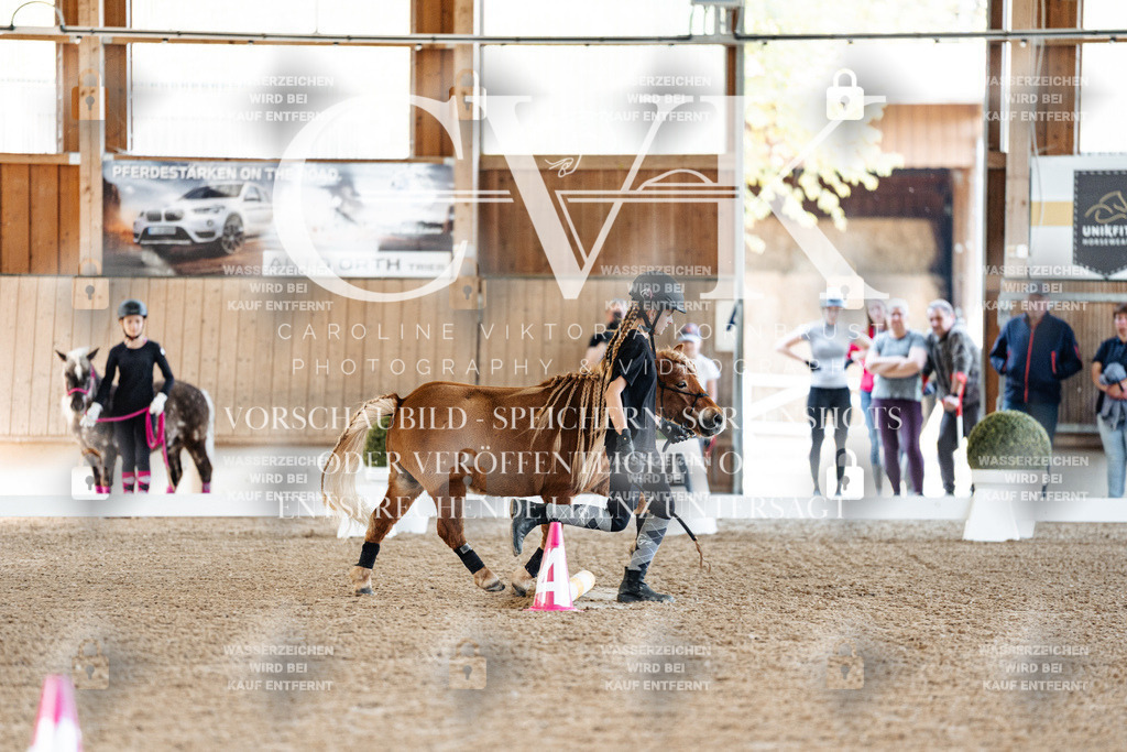 CK905255 | Turnierfotografie Pferdefotografie Trier Rheinland-Pfalz Pferdesport Reitsport Tierfotografie Sportfotografie Pferdevideo Pferdevideografie Equestrianvideography equestrianphotography  - Realisiert mit Pictrs.com