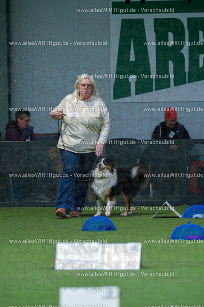 7R501412 | Professionelle Tierfotografie in Mönchengladbach von Daniel Wirth (allesWIRTHgut). Liebevolle & natürliche Bilder von Hunden & Katzen für unvergessliche Erinnerungen.