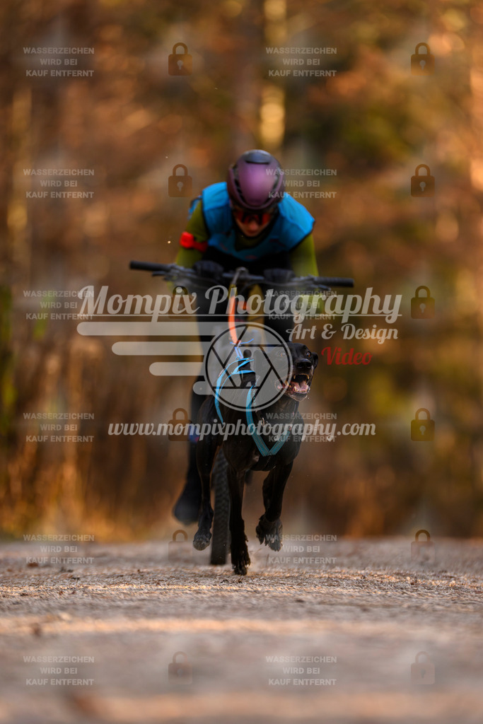 MompixPhotography_DM_AKDM_SO_2025_Bike-23 | PayLife