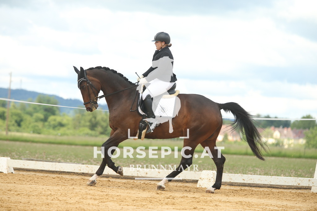 AS8V1754 | Willkommen bei Brunnmayr - Design & Fotografie – Ihrem Spezialisten für Reitturniere und Pferdeveranstaltungen in Oberösterreich, Salzburg und Bayern! Seit über 17 Jahren sind wir leidenschaftlich dabei.