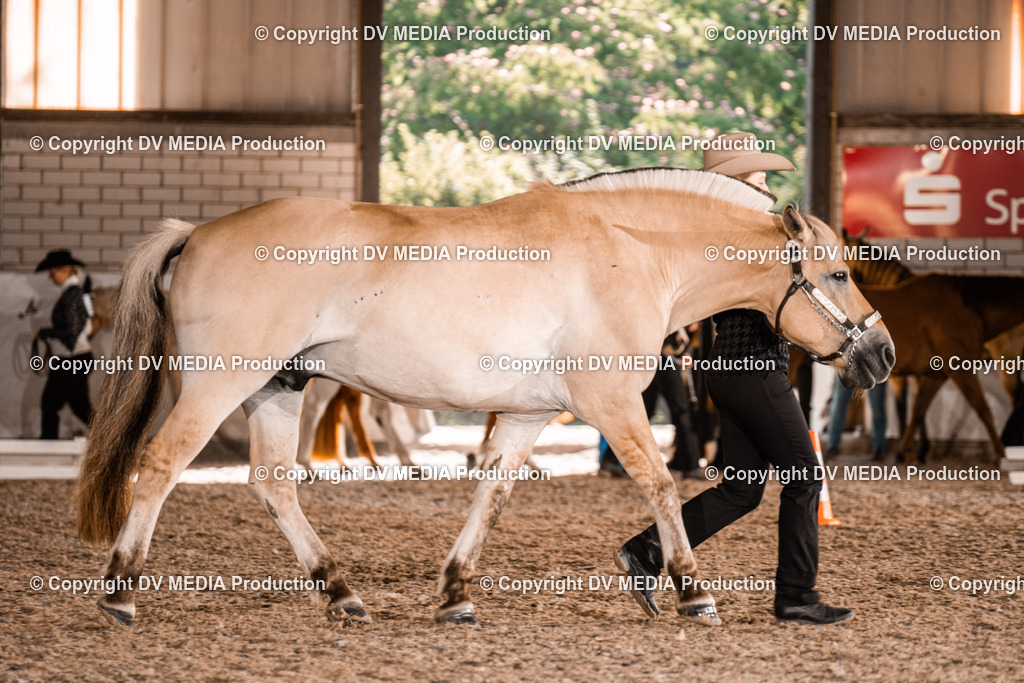 ZH100077 | dv-media-shop - Realisiert mit Pictrs.com