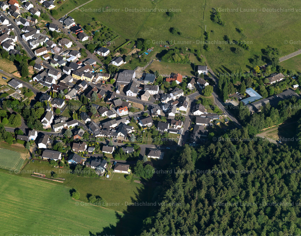 3126479 | Hirschberg