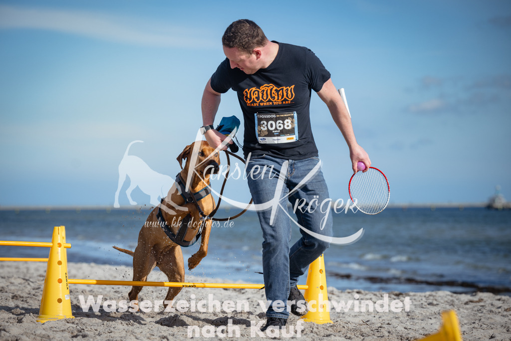 1337_ZZ92272 | kk-dogfotos