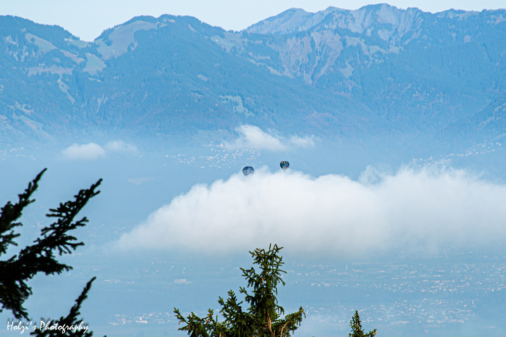 Rheintal | Holzisphotography, Landschaftsfotografie, Wildlifefotogorafie - Realisiert mit Pictrs.com