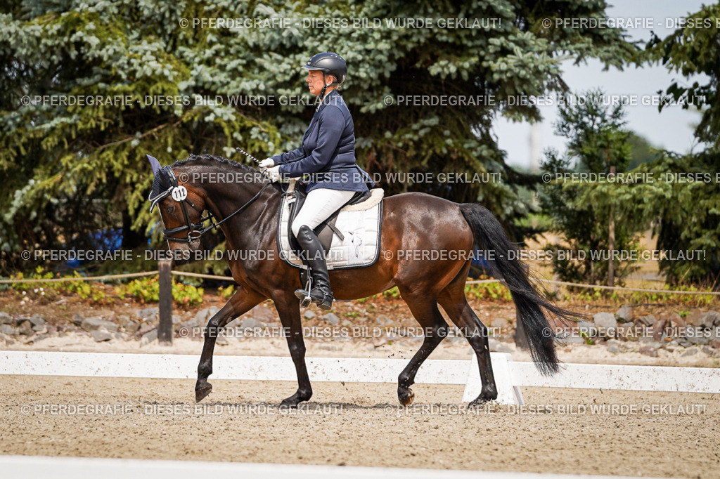 DSC04221 | Pferdegrafie