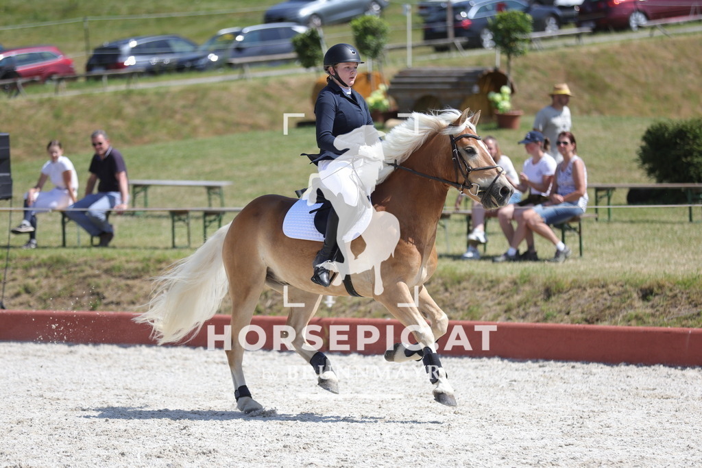 0P6A8023 | Willkommen bei Brunnmayr - Design & Fotografie – Ihrem Spezialisten für Reitturniere und Pferdeveranstaltungen in Oberösterreich, Salzburg und Bayern! Seit über 17 Jahren sind wir leidenschaftlich dabei.