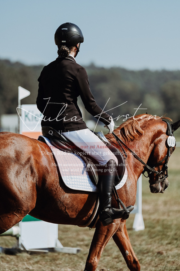 DSC_9380 | Pferde- und Turnierfotografie in Westsachsen. Pferdeportraits, Auftragszeichnungen und intuitive Kunst.