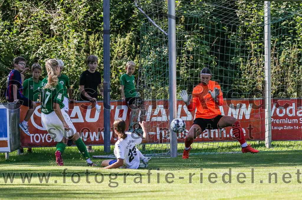 2023-09-16_027_FC_Forstern_gegen_VfL_Sindelfingen_Ladies_I | Forstern, Deutschland, 16.09.2023:
Fußball, B-Juniorinnen-Bundesliga Süd 2023 / 2024, 2. Spieltag, FC Forstern gegen VfL Sindelfingen Ladies I, Endergebnis: 4:1

Yanica Moritz (FC Forstern, #17), Johanna Buck (VfL Sindelfingen Ladies I, #23), Rosanna Schmauder (VfL Sindelfingen Ladies I, #1)

Foto: Christian Riedel / fotografie-riedel.net