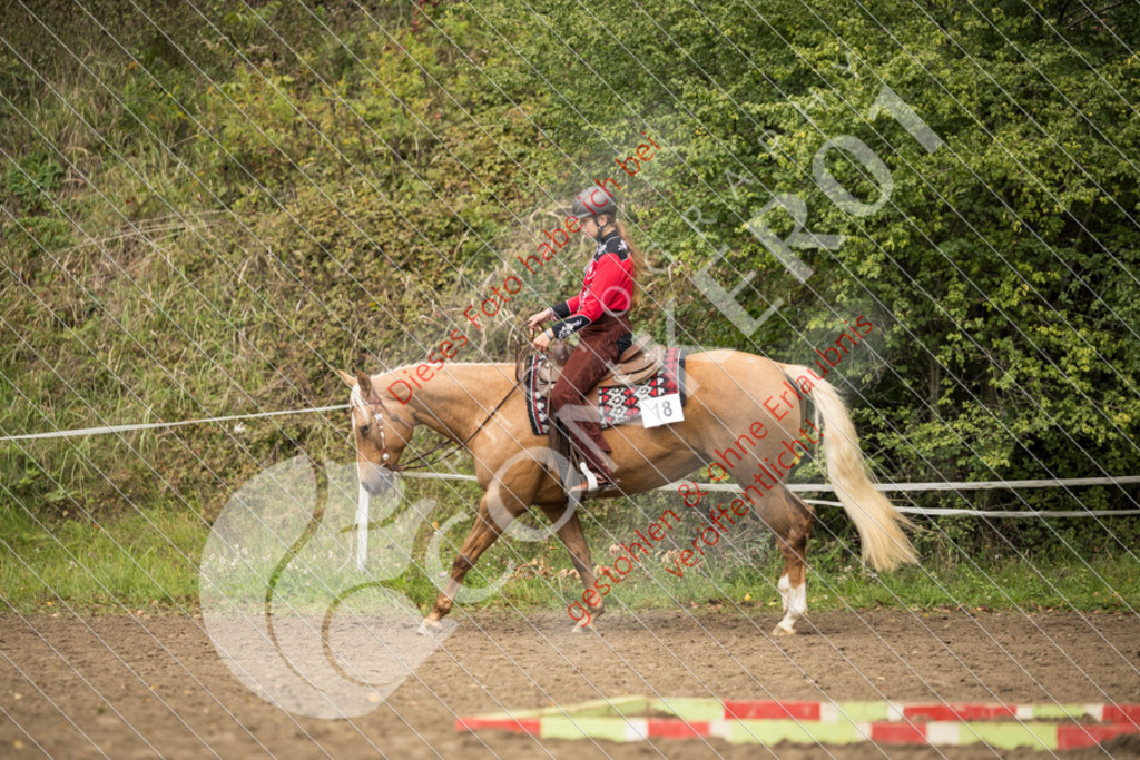 CON_9297 | Sport-, Event- und Tierfotos in Profiqualität. Einfach auswählen, bestellen und herunterladen. Dein Moment – perfekt festgehalten.