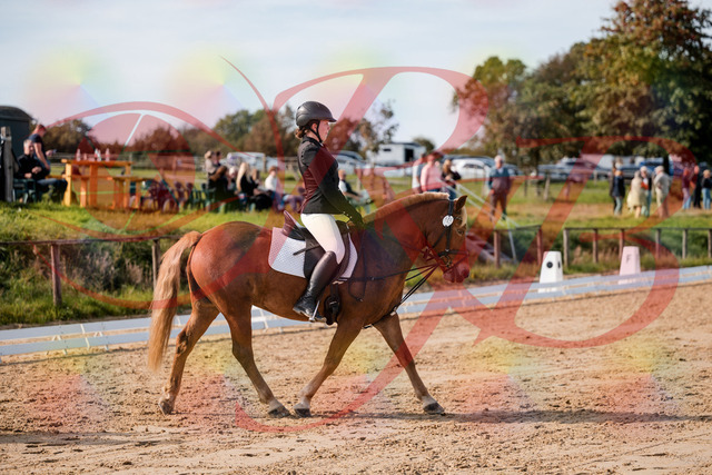 2026_10_03_Siefer-Hof_122017_Z63_42696525 | Professionelle Reitsport-, Turnier- und Eventfotografie von Robert Broda. Galerien mit ausgewählten und bearbeiteten Bildern direkt online ansehen und bestellen.