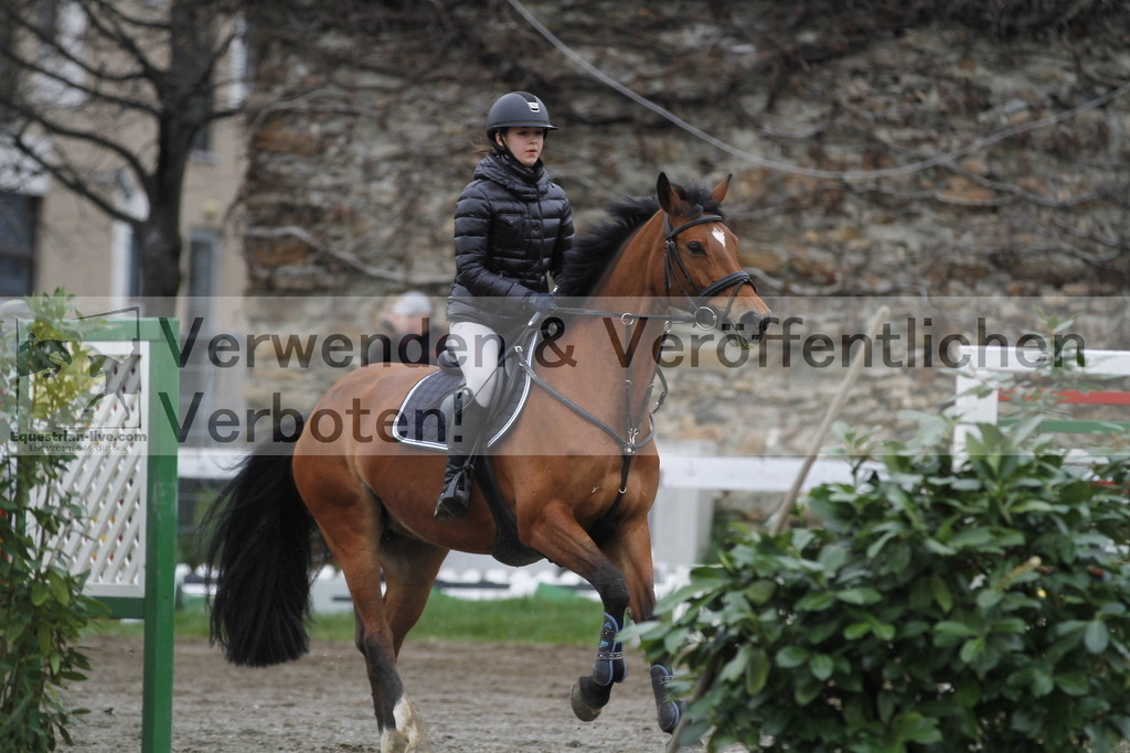 _MG_3586 | equestrian-live-com