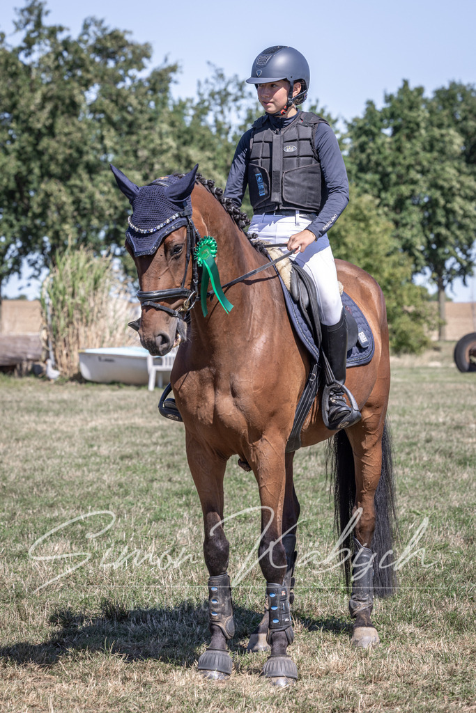 20260906-_3LI4567 | Tierfotografie Pferde, Hunde, Katzen, Haustiere.
Turnierfotografie Reitturniere, Reiten, Springreiten, Dressur in Hanau, dem Main-Kinzig-Kreis und dem Rhein-Main- Gebiet um Frankfurt