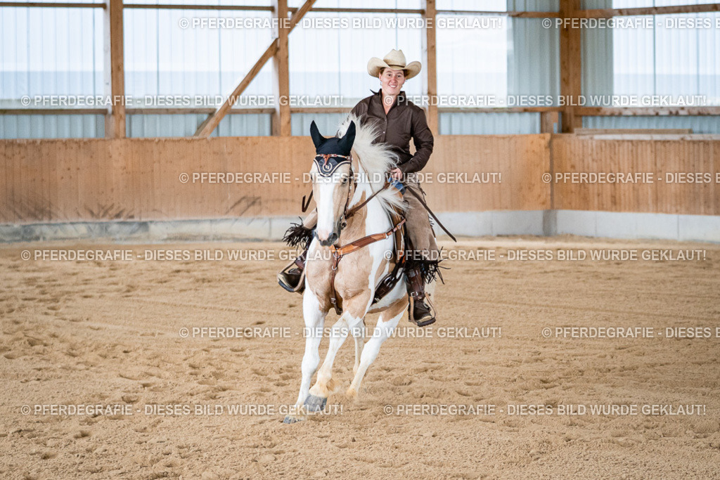 DSC09198 | Pferdegrafie