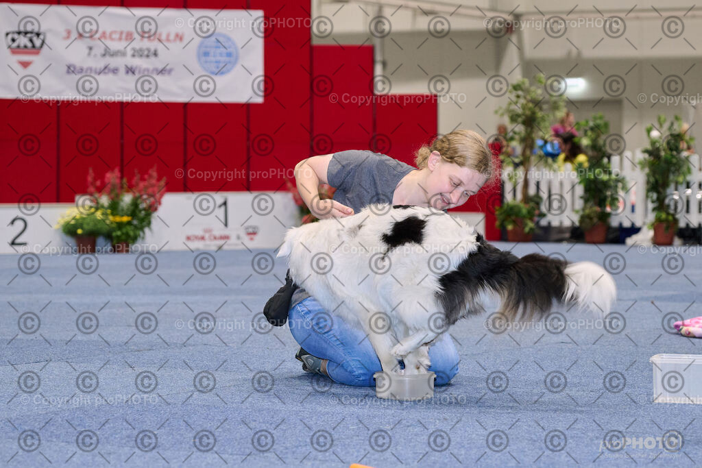 202406_ÖKV-IHA-Tulln24_NZ9_7691 | proPHOTO - Realisiert mit Pictrs.com