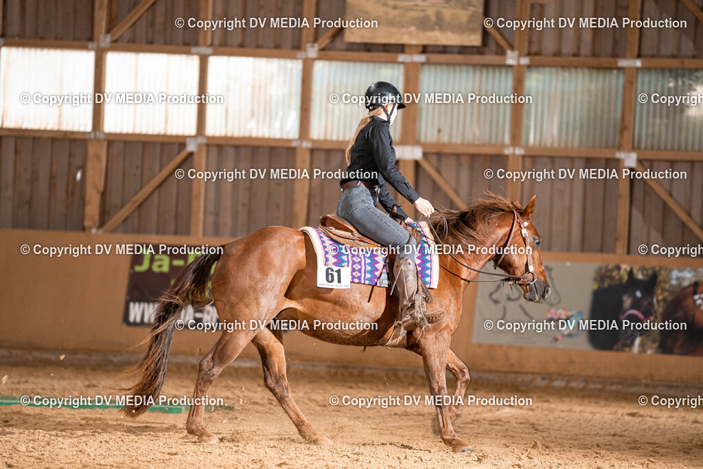 Losheim Tag 1-549 | dv-media-shop - Realisiert mit Pictrs.com