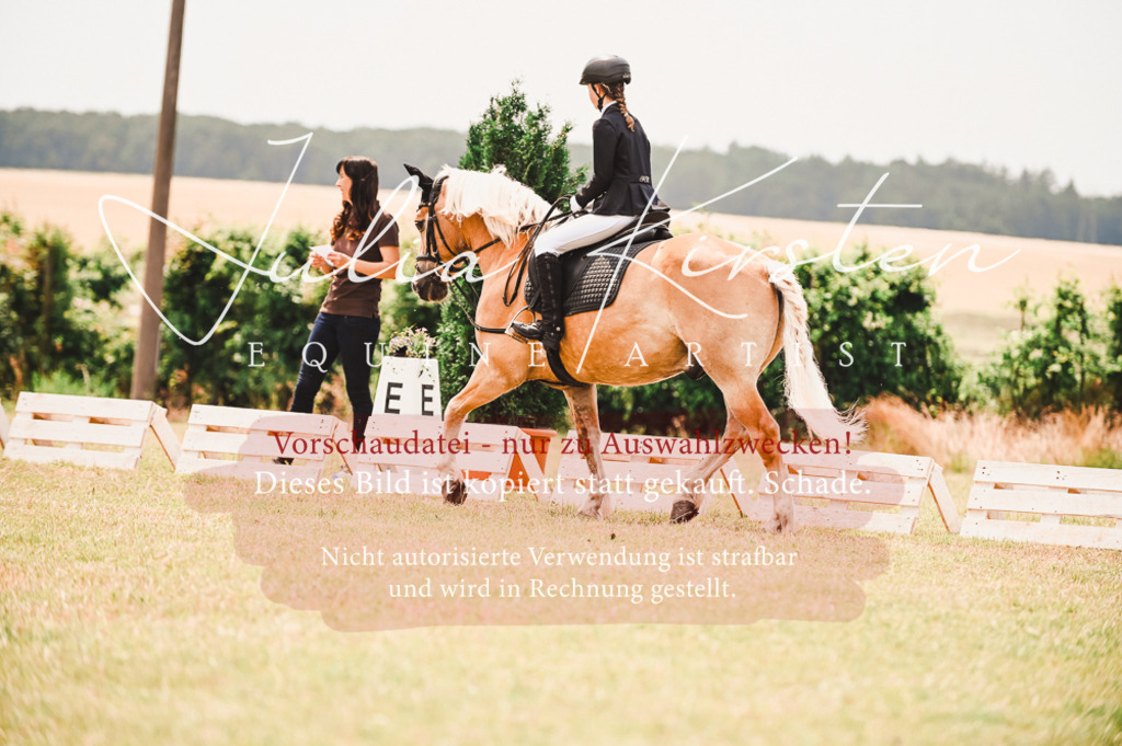 DSC_6181 | Pferde- und Turnierfotografie in Westsachsen. Pferdeportraits, Auftragszeichnungen und intuitive Kunst.
