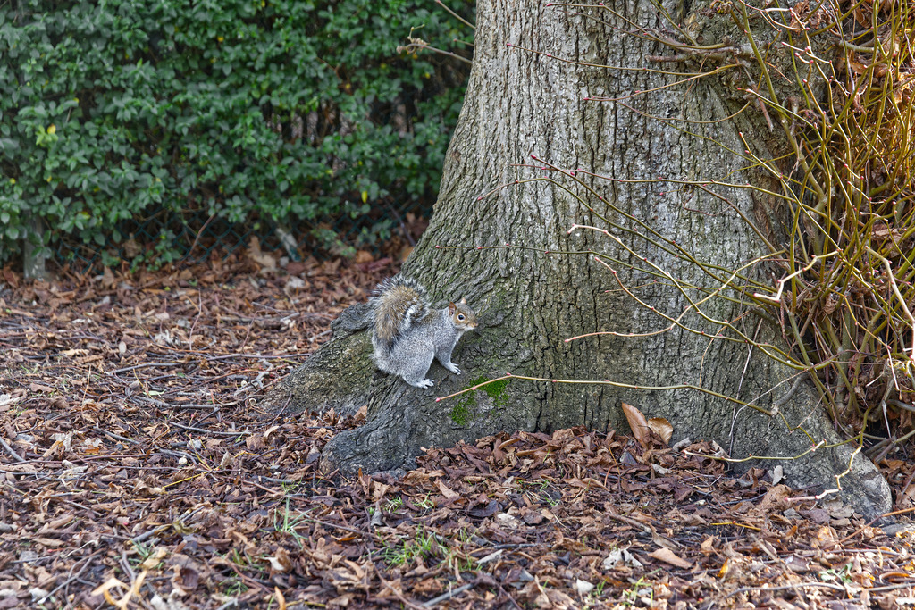 1H5A9509 | ansichtssache