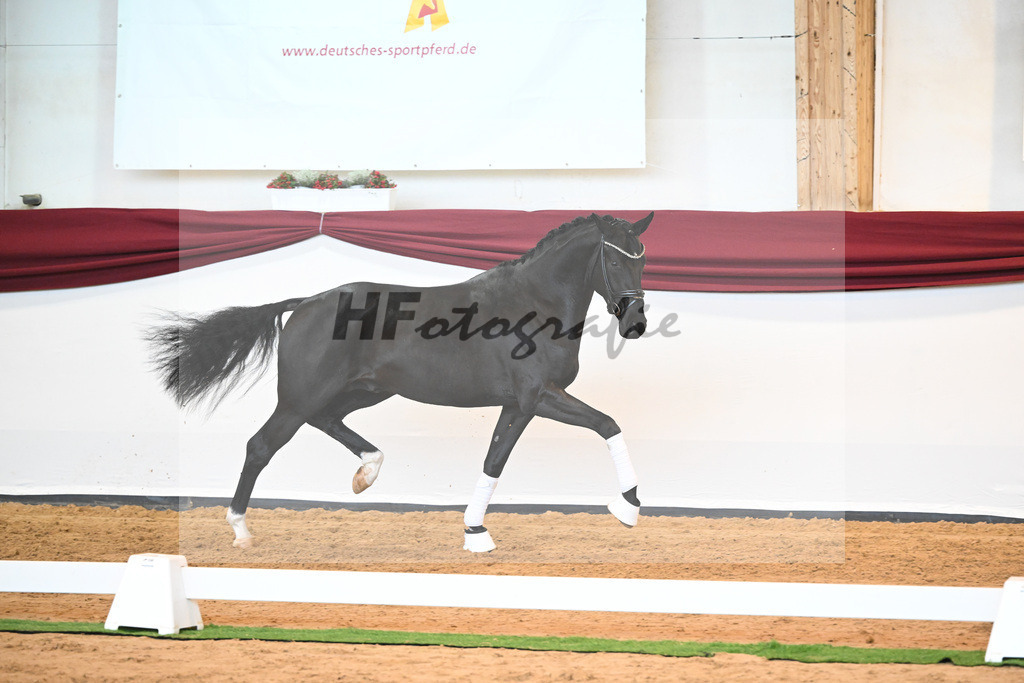 Kat-Nr. 51 v. Toto jr._Winklmaier_66220899 | hf-fotografie - Realisiert mit Pictrs.com